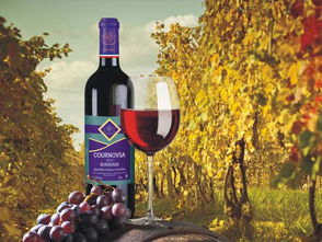 法國波爾多卡諾莎葡萄酒 融入生活的法國葡萄酒藝術